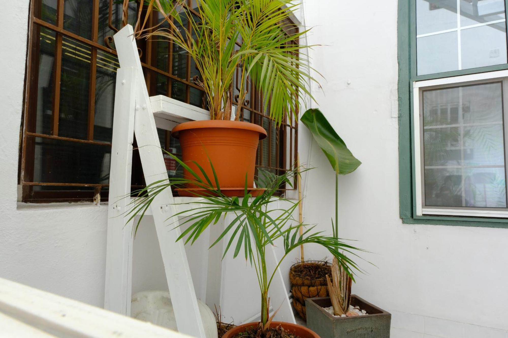Rooftop Dreamhouse - 3Br With Seaviews Santa Cruz de la Palma  Eksteriør billede