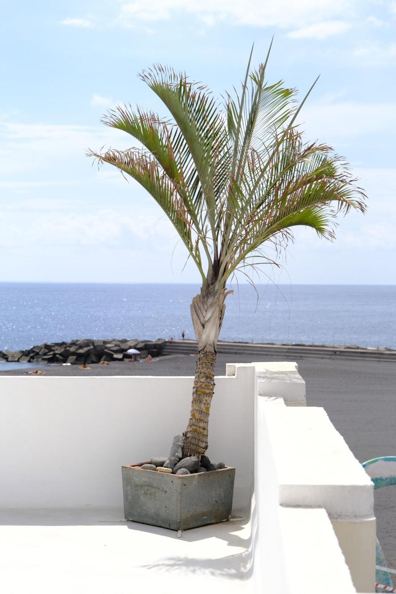 Rooftop Dreamhouse - 3Br With Seaviews Santa Cruz de la Palma  Eksteriør billede